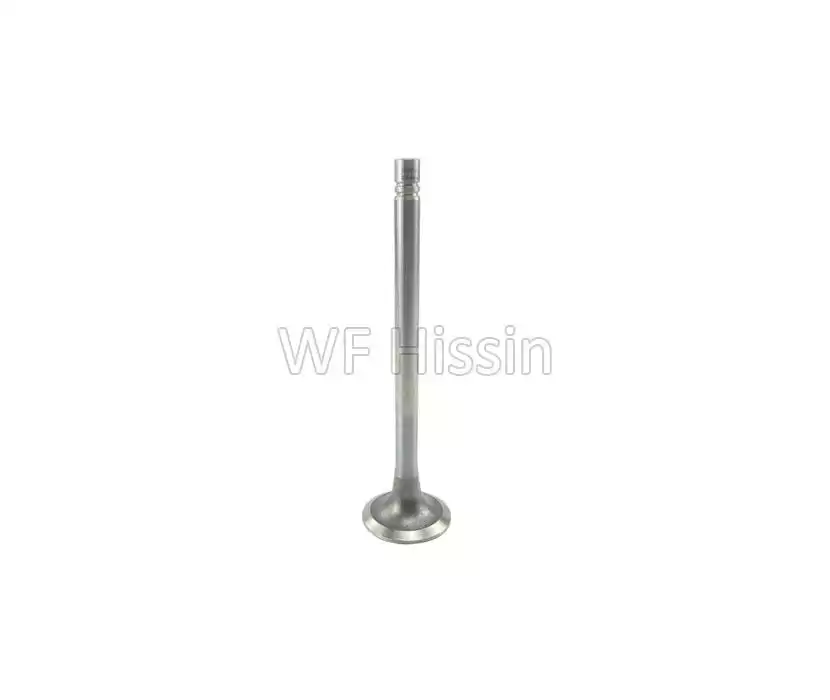 Intake Valve NTA855